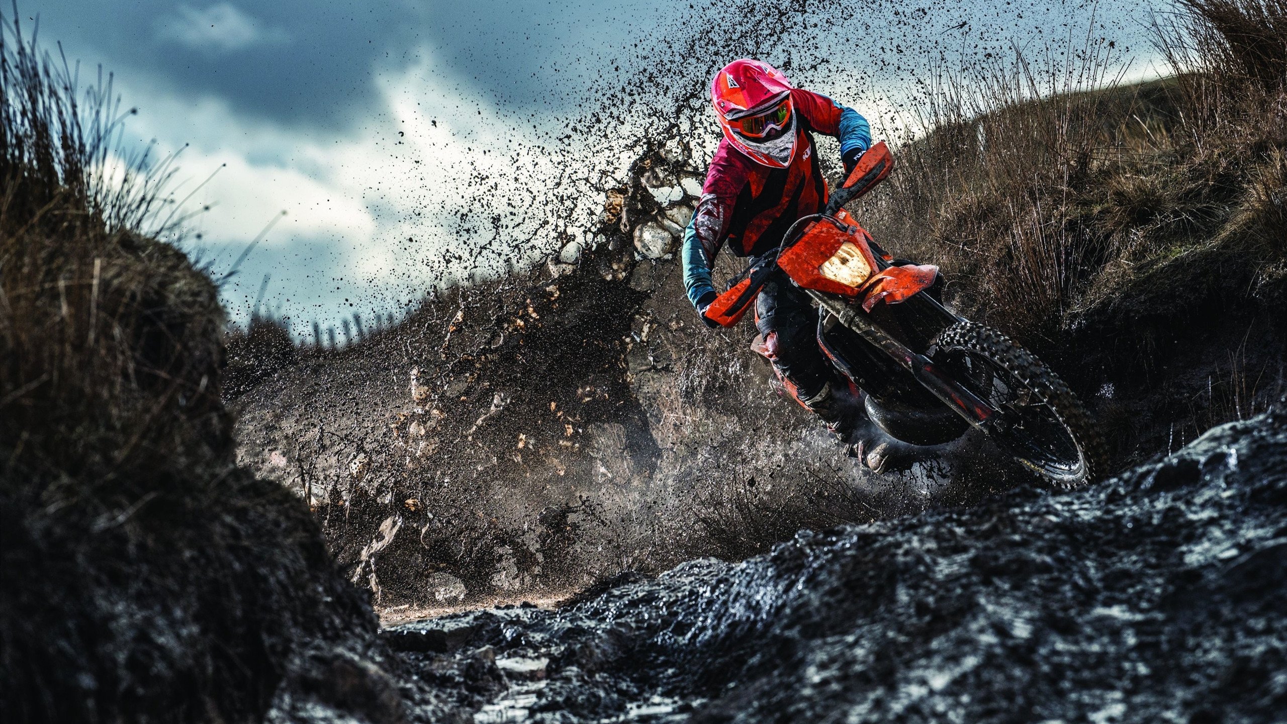 塞内加尔横扫丹麦背后的战术革命，凯恩高光表现揭示现代足球新范式